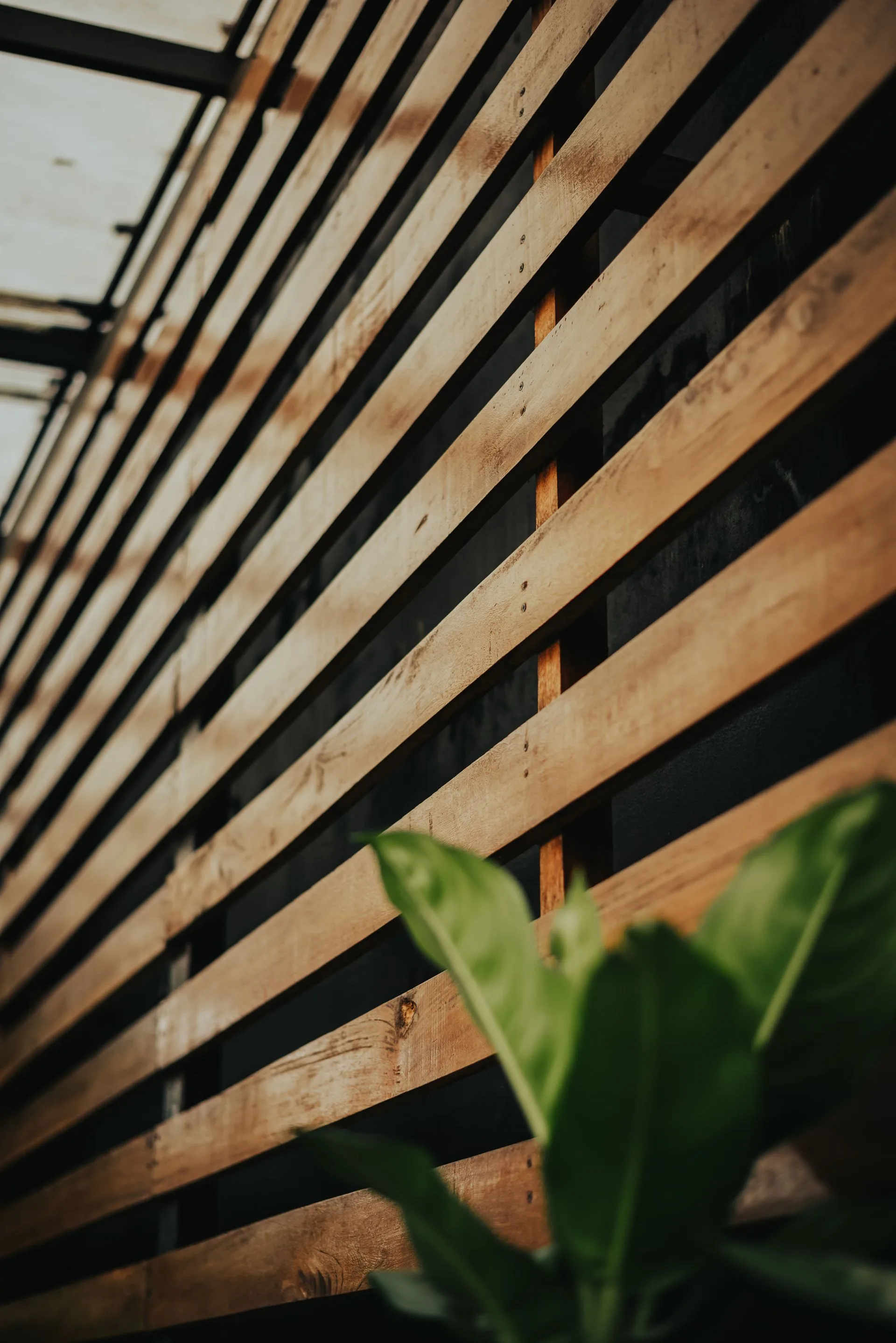 Wooden slatted fence screen with greenery