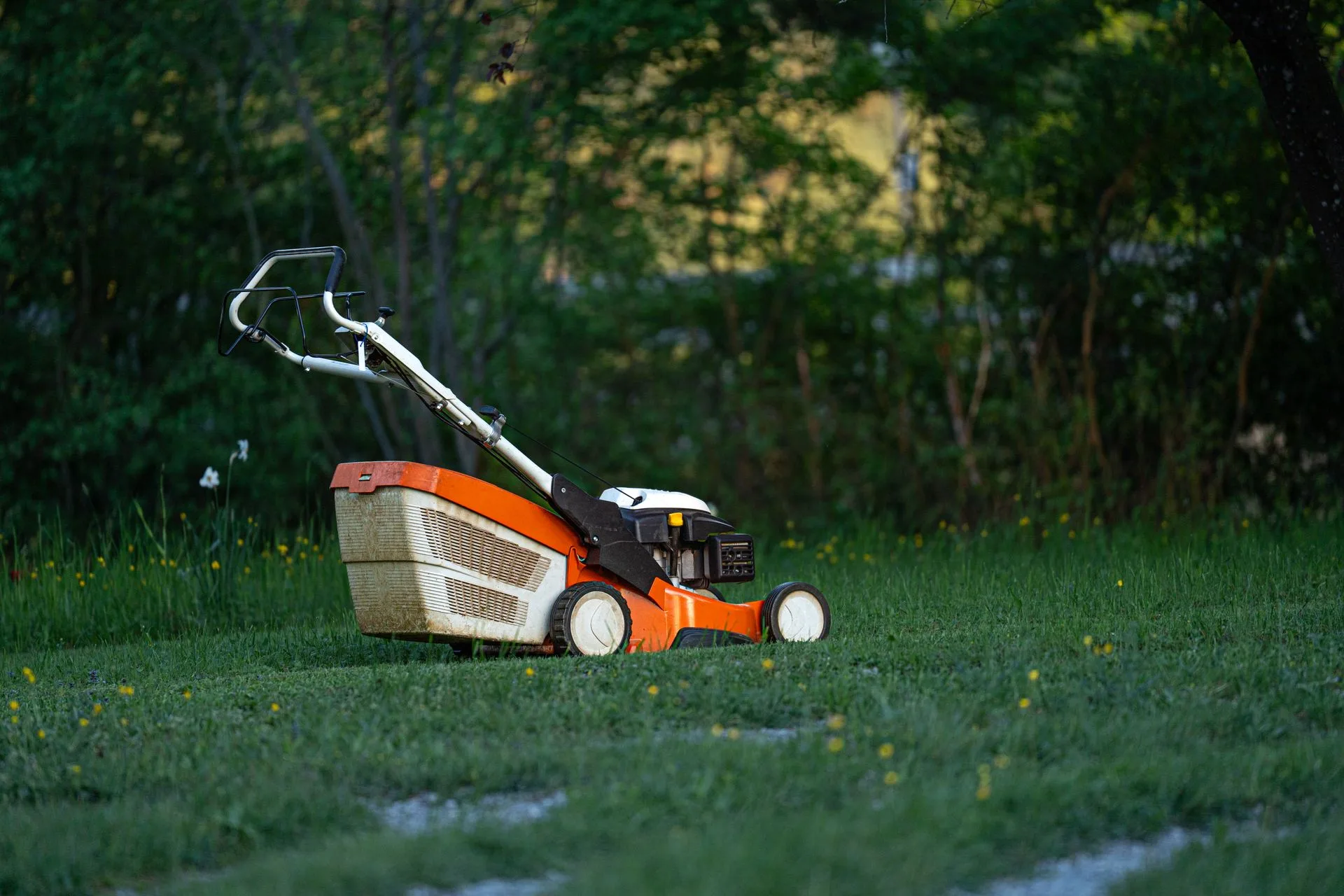 Orange lawn mower on a freshly mown green lawn in a backyard